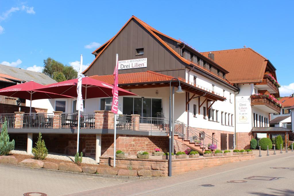 Hotel Drei Lilien Waldbrunn  Exterior foto